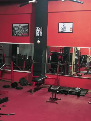 @Mr. Body