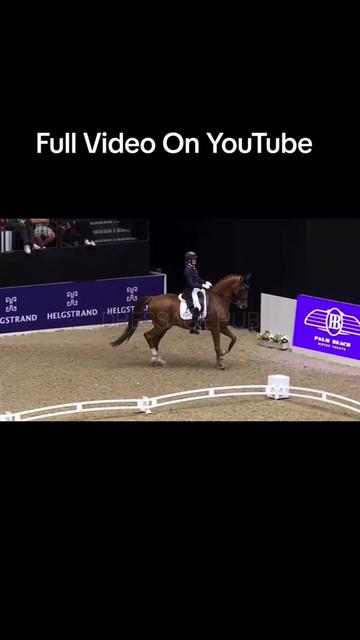 @DressageHub