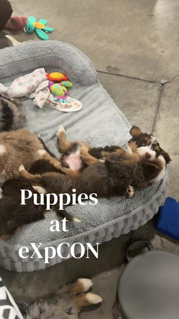 @Taylor Bunney | Den CO Realtor