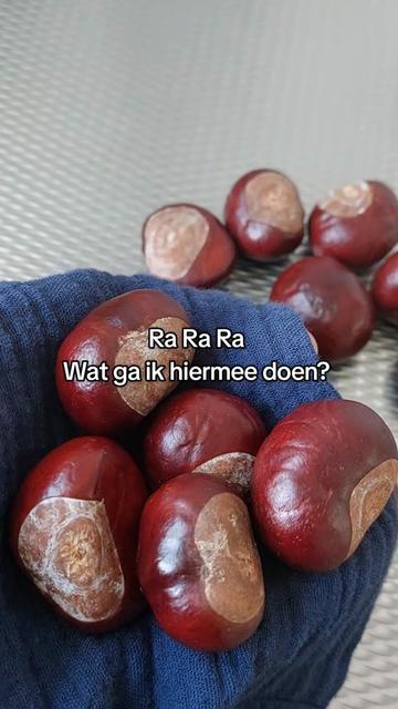 @Soennah Remedies & Recepten