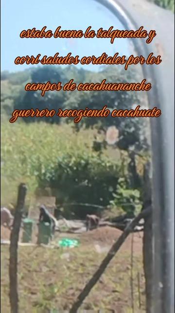 @Fernando Gaytan