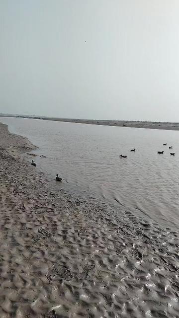 @shahbaz Punjabi 0786