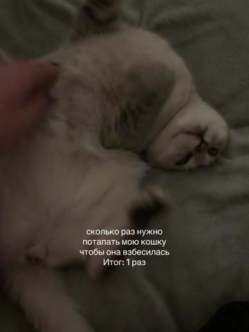 @рианчи🌠
