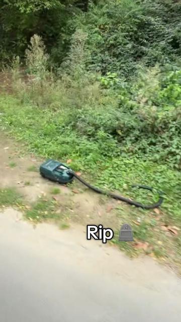 @Nadia Rim