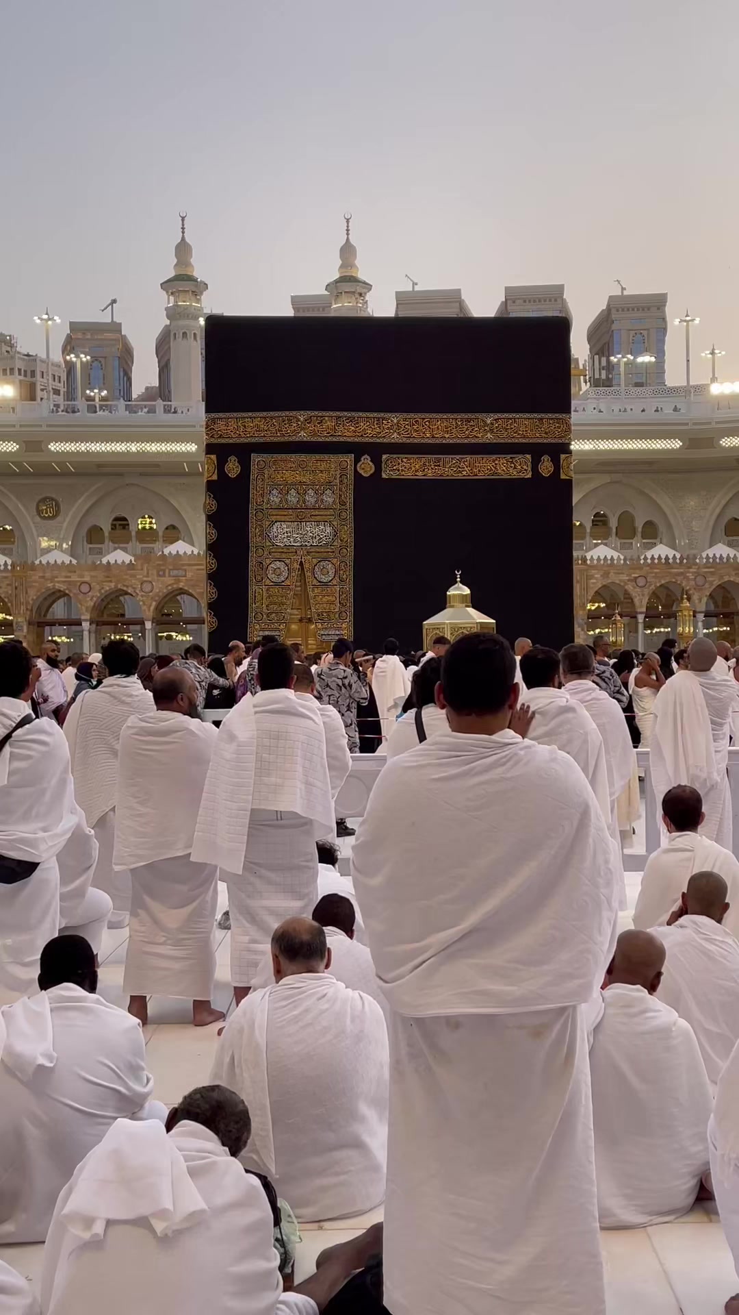 @حكيم عياد المغواري