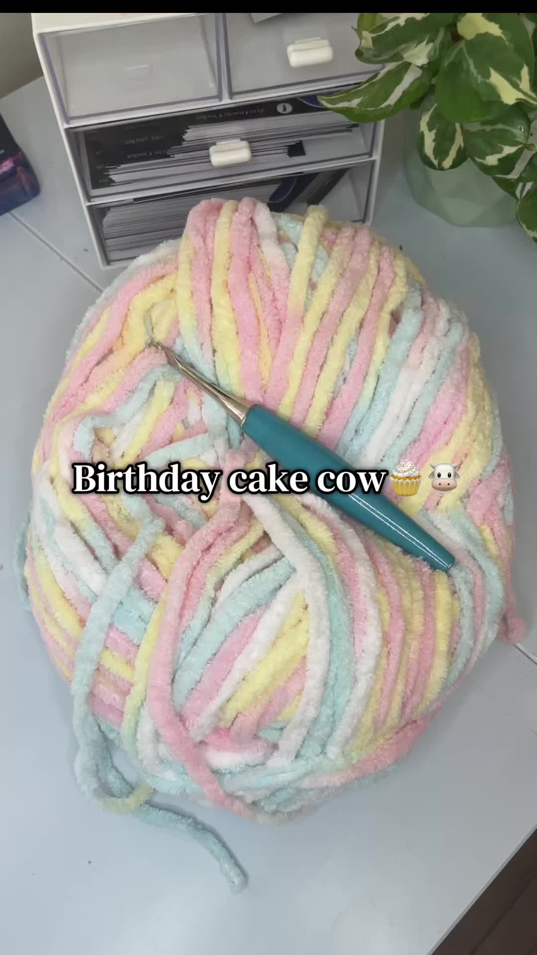 @Zero Gravity Crochet✨