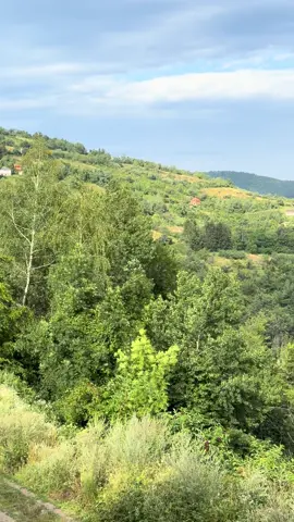 @Sladjana Misovic