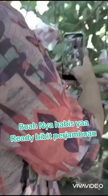 @Bibit khusus samarinda