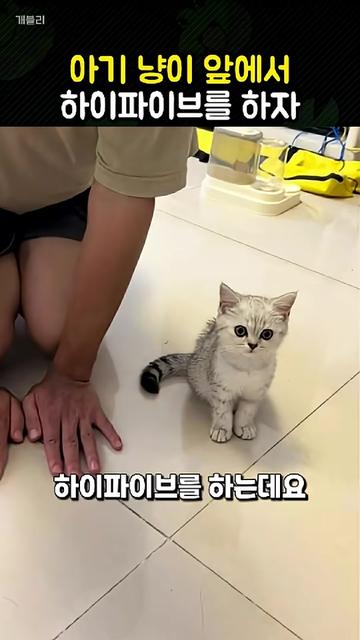 @개블리
