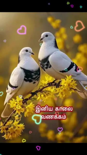 @Sai Meena