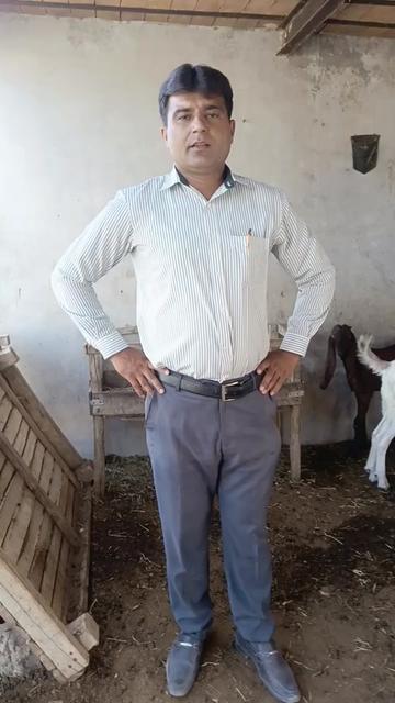 @Animal success