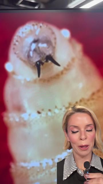 @12newsaz