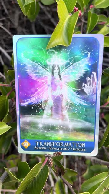 @💫 Star Keeper Oracle 🔮