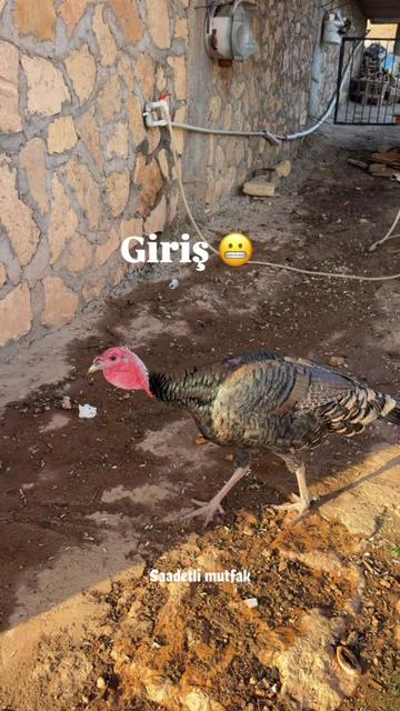 @saadetli_mutfak_