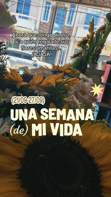 @🥷🏻Cocardo🌅🐣