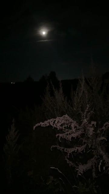 @стрххз💤