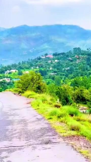 @🕊️.⋆کلمدم کشمیری.⋆👸