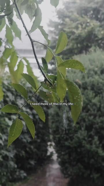@Lost under the rain