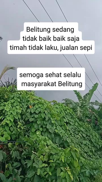 @Purwanti Nilam Sari