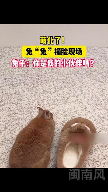 @闽南风~