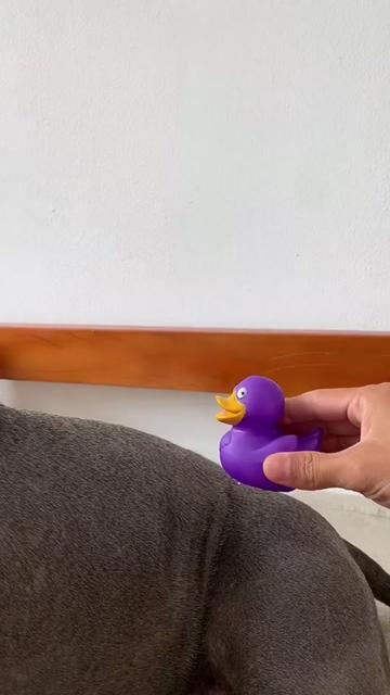 @uxifnfsiyyn