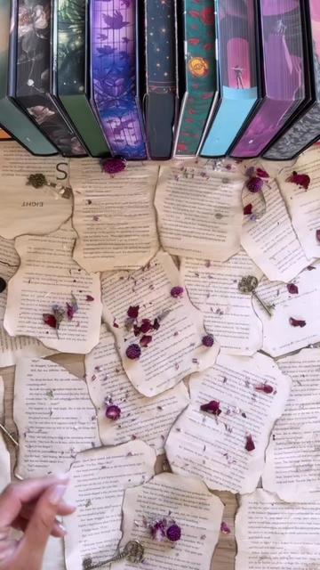 @thebookishcamper