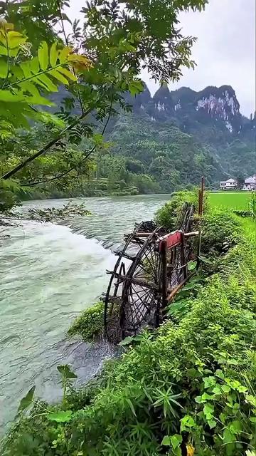 @Beauty of nature❤️