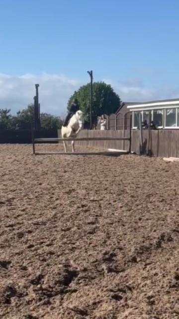 @LottiesHorseAdventures🦄🐴