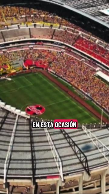 @Betsabe Rosales /RastitasRepor