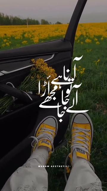 @๐ ๐ ๐ ๐ผ ๐ ๐๏ธ •