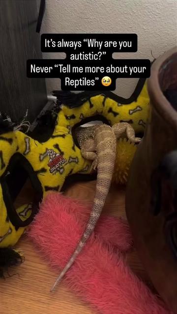 @Lil_desert_hobo