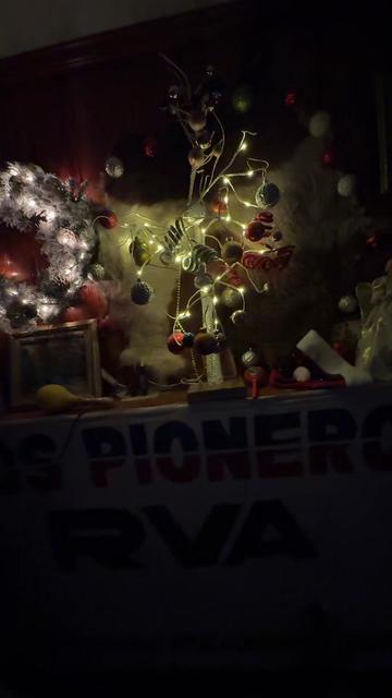 @Nbv bohemio official