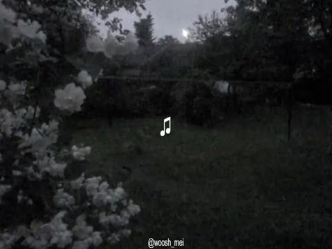 @𝓶𝓪𝓲𝓲✮⋆˙♡