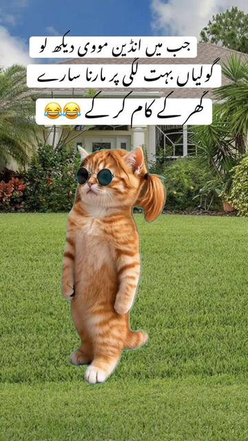 @Sweetie 🇵🇰🇺🇸💫💕💞