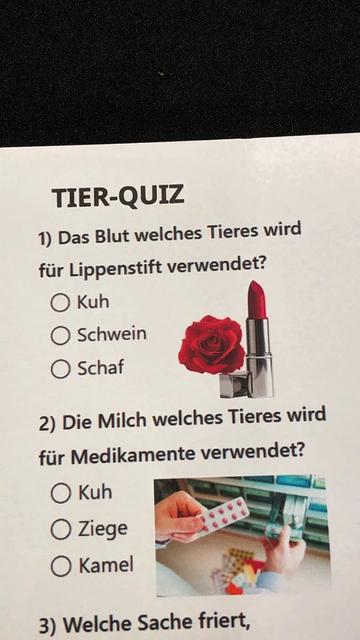 @Base Quiz