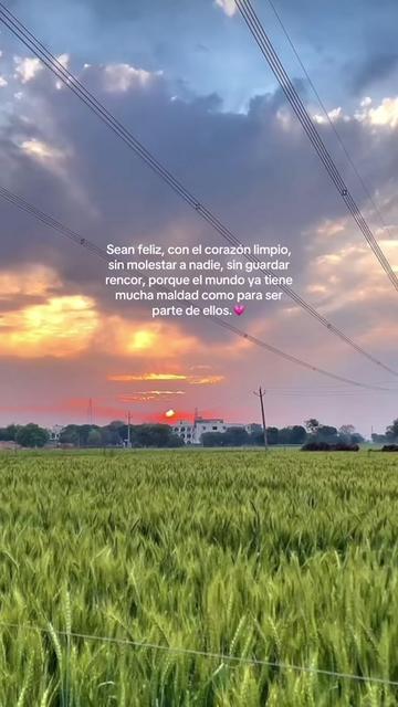 @💗