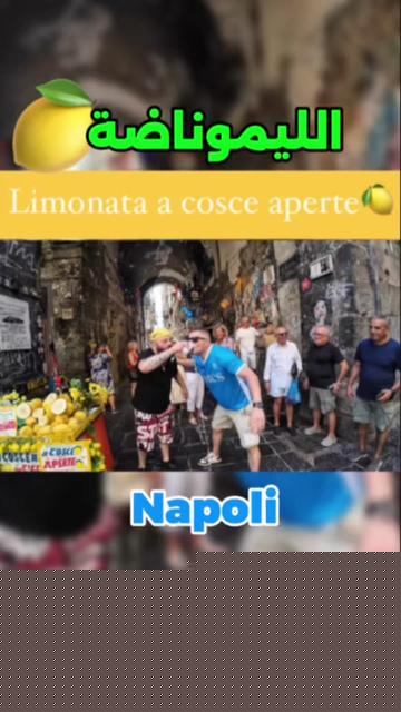 @Walidwarido
