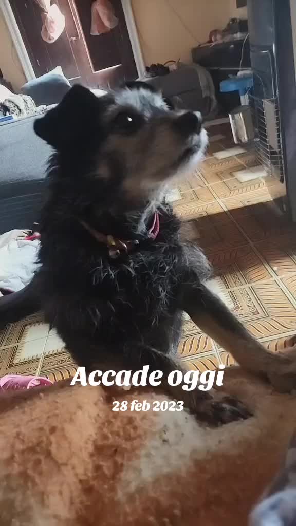 @nancymodica03