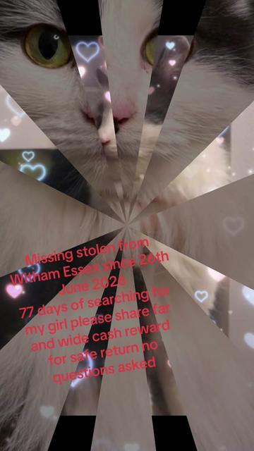 @💓🐾💙🐾