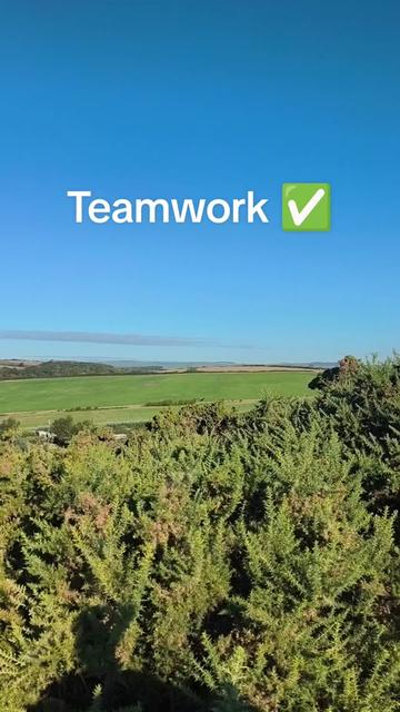 @Teamwork