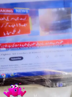 @qurban ch 804