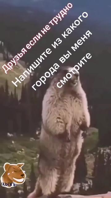 @✸Димон_Волк✸