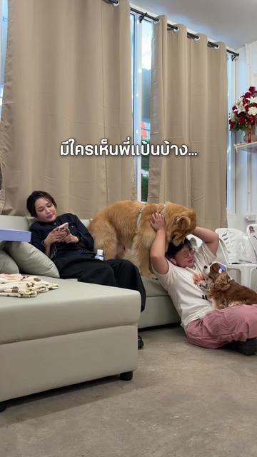 @Joommeng Mee Arai