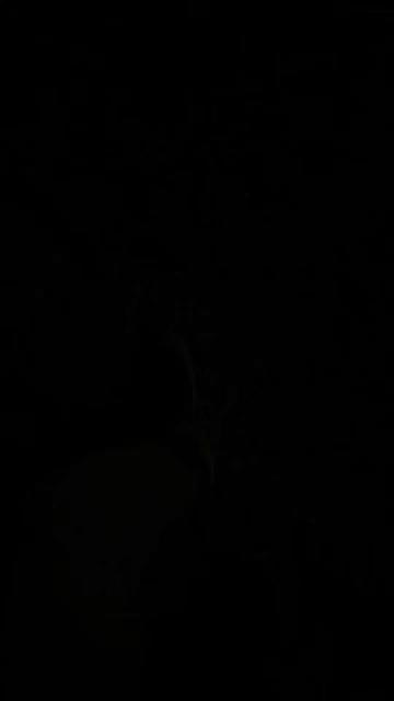 @❥✞₷ɑռτყ•𝑴𝒆𝒋𝐢𝒂☹︎..