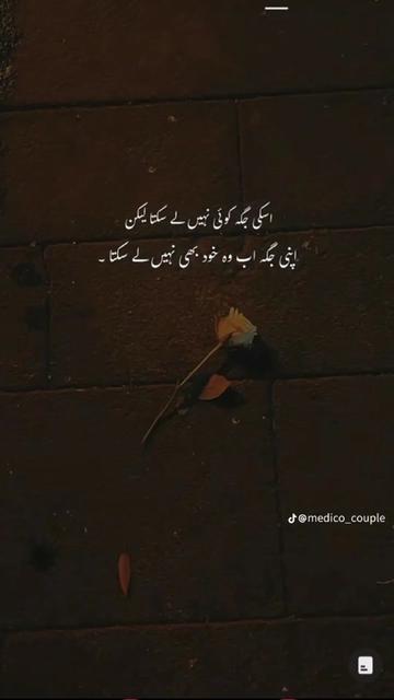 @قلبِ مومن🍂