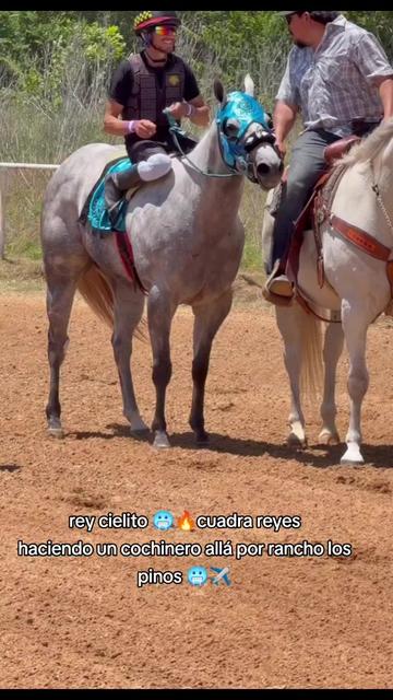 @carriles altos de jalisco🐎