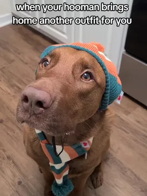 @hankinthehat