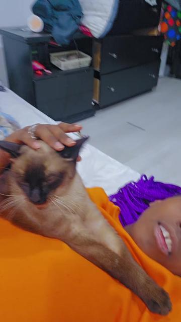 @PsychoCheetah🇭🇹