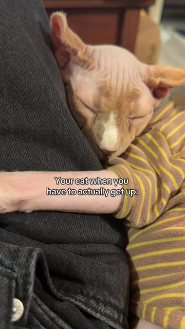 @Misa & Winston