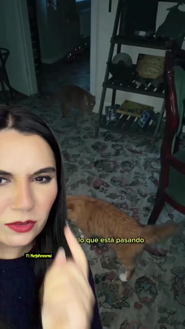 @MaríaJosé Arce